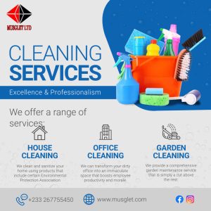 Grey Cleaning Service Instagram Post - Made with PosterMyWall